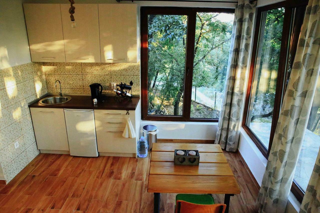 Bed and Breakfast Donkey Farm Martinici - Farma Magaraca Martinici Danilovgrad Exterior foto